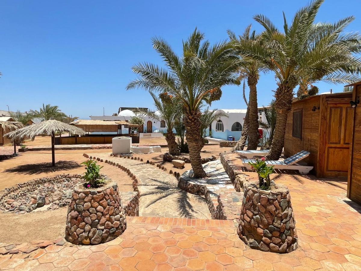 Hotel Dolphin Camp Dahab Zewnętrze zdjęcie