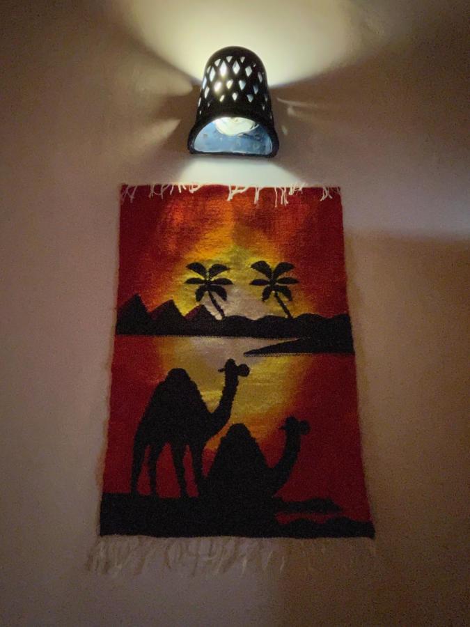 Hotel Dolphin Camp Dahab Zewnętrze zdjęcie