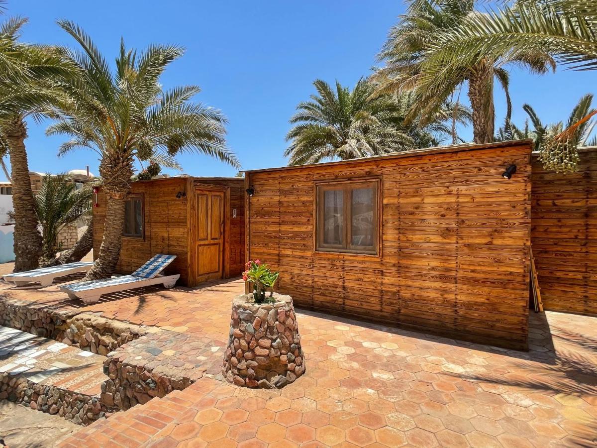 Hotel Dolphin Camp Dahab Zewnętrze zdjęcie