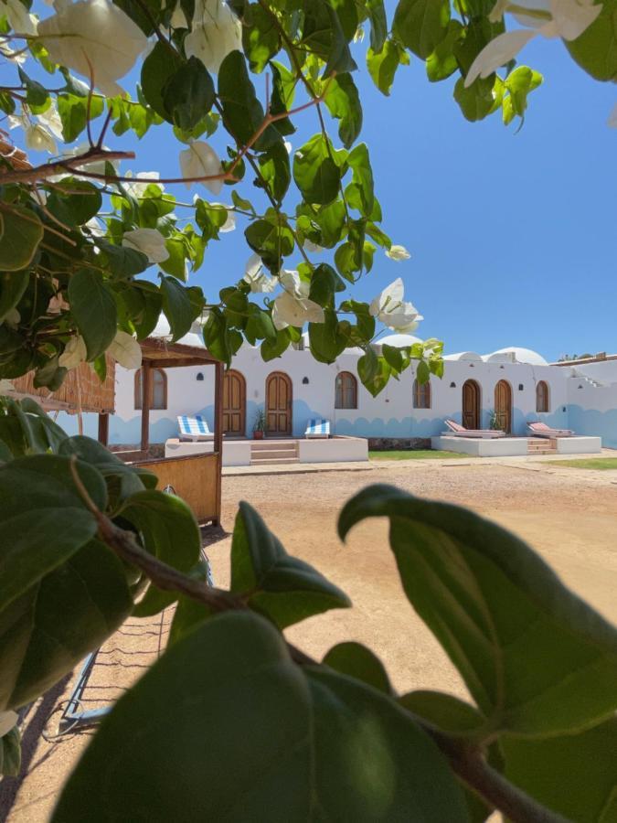 Hotel Dolphin Camp Dahab Zewnętrze zdjęcie