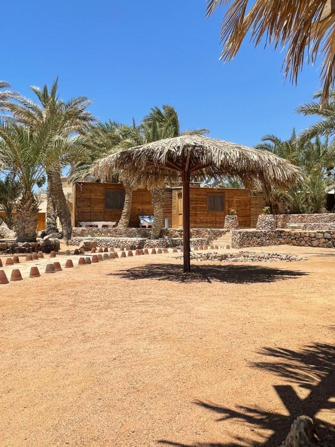 Hotel Dolphin Camp Dahab Zewnętrze zdjęcie