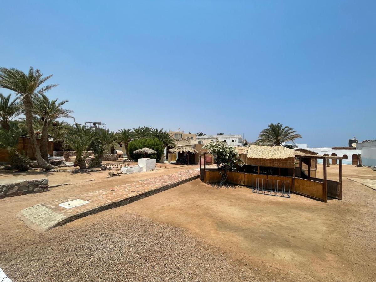 Hotel Dolphin Camp Dahab Zewnętrze zdjęcie