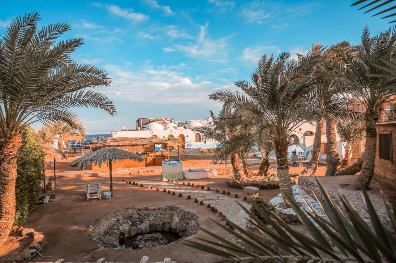Hotel Dolphin Camp Dahab Zewnętrze zdjęcie