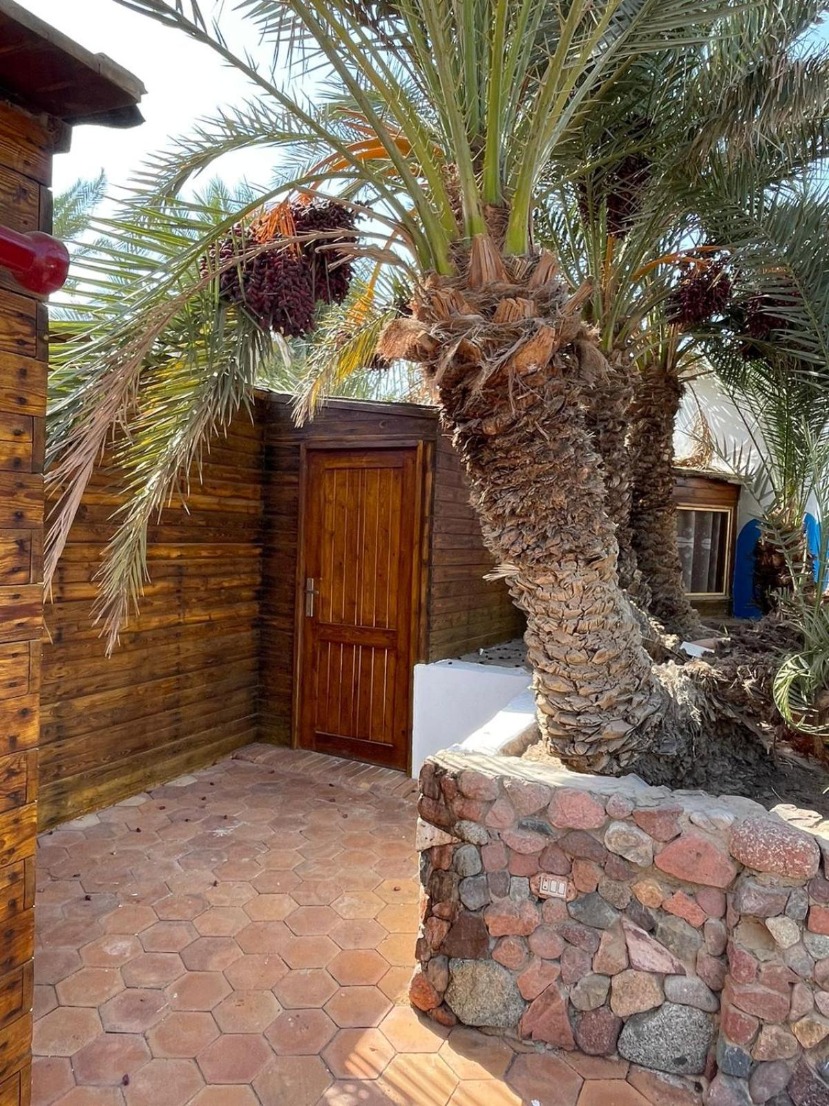 Hotel Dolphin Camp Dahab Zewnętrze zdjęcie