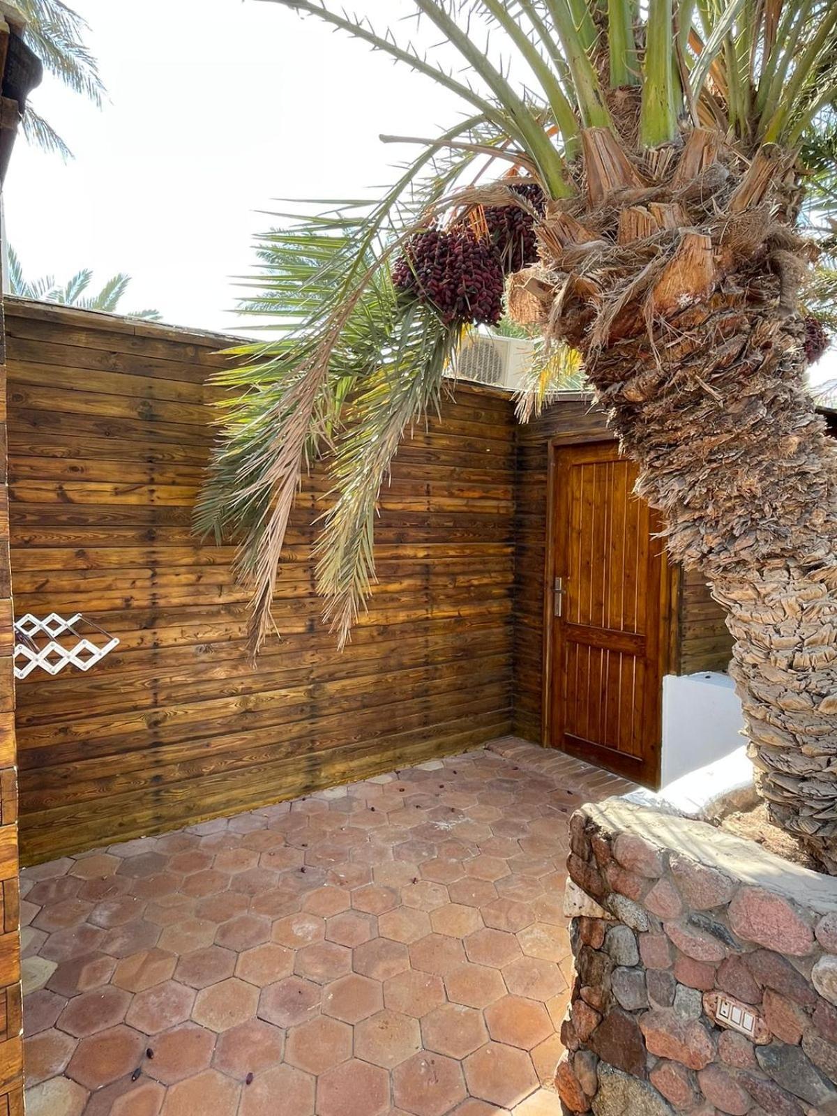 Hotel Dolphin Camp Dahab Zewnętrze zdjęcie